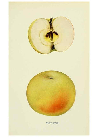 Reproducción/Reproduction 42409968312: The apples of New York,. Albany,J. B. Lyon Co., Printers,1905.. 