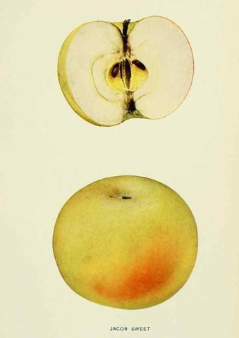 Reproducción/Reproduction 42409968312: The apples of New York,. Albany,J. B. Lyon Co., Printers,1905.. 