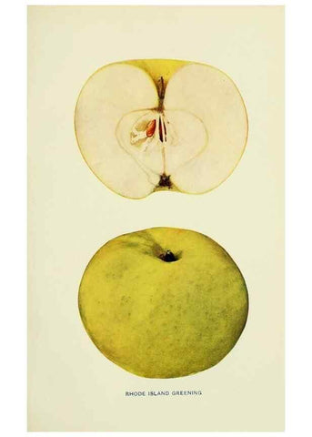 Reproducción/Reproduction 28587980588: The apples of New York,. Albany,J. B. Lyon Co., Printers,1905.. 