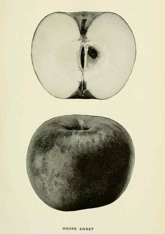 Reproducción/Reproduction 40652097720: The apples of New York,. Albany,J. B. Lyon Co., Printers,1905.. 
