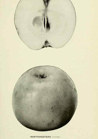 Reproducción/Reproduction 27590251667: The apples of New York,. Albany,J. B. Lyon Co., Printers,1905.. 