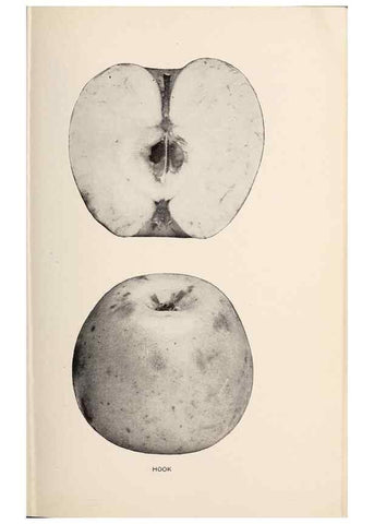 Reproducción/Reproduction 28408220508: The apples of New York /. Albany :J.B. Lyon,1905.. 