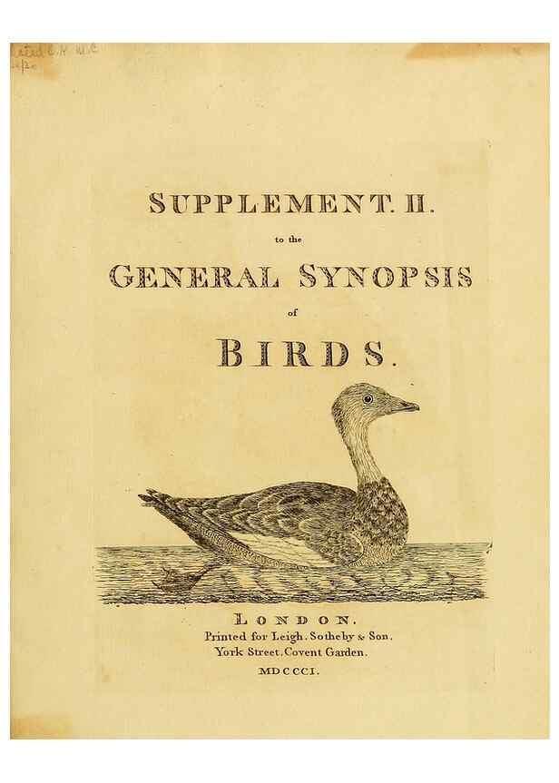 Reproducción/Reproduction 39828180710: Supplement II to the General synopsis of birds.. London :Printed for Leigh, Sotheby, & Son, York Street, Covent Garden,[1801 or 1802]. 