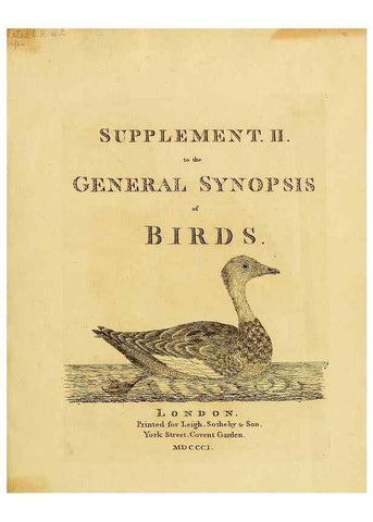 Reproducción/Reproduction 39828180710: Supplement II to the General synopsis of birds.. London :Printed for Leigh, Sotheby, & Son, York Street, Covent Garden,[1801 or 1802]. 
