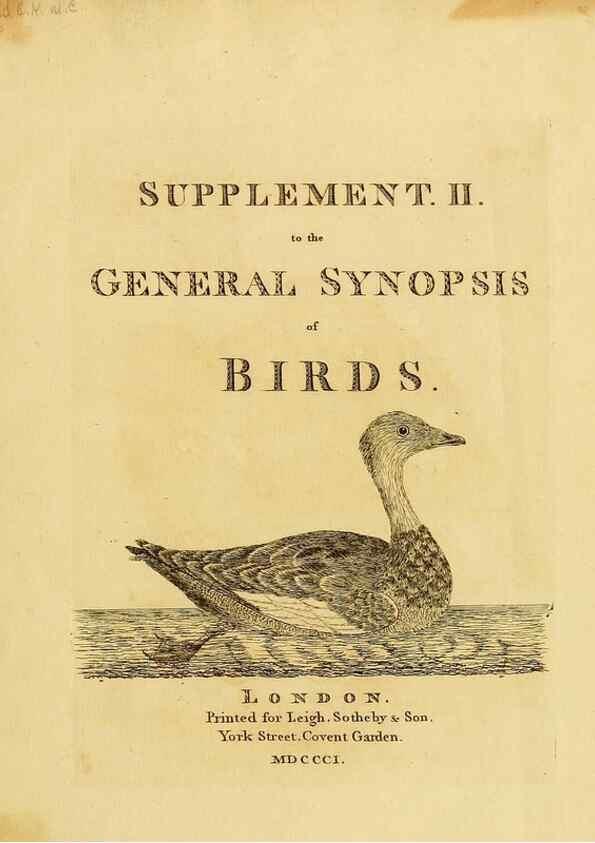 Reproducción/Reproduction 39828180710: Supplement II to the General synopsis of birds.. London :Printed for Leigh, Sotheby, & Son, York Street, Covent Garden,[1801 or 1802]. 