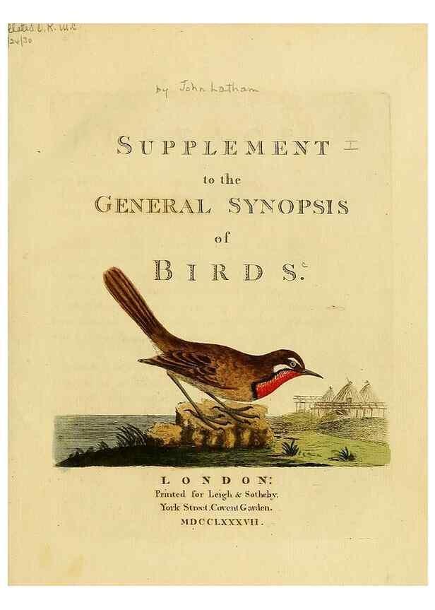 Reproducción/Reproduction 40926343524: Supplement to the General synopsis of birds.. London :Printed for Leigh & Sotheby ...,1787.. 