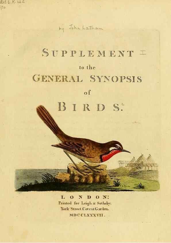 Reproducción/Reproduction 40926343524: Supplement to the General synopsis of birds.. London :Printed for Leigh & Sotheby ...,1787.. 