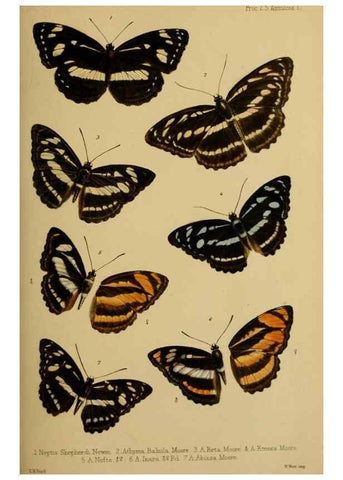 Reproducción/Reproduction 41985233442: Proceedings of the Zoological Society of London.. London :Academic Press, [etc.],1833-1965.. 