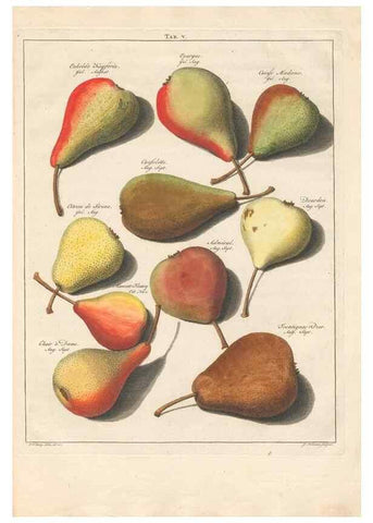 Reproducción/Reproduction 41377728065: Pomologia :. Te Leeuwarden, :By Abraham Ferwerda, ...,1758.. 