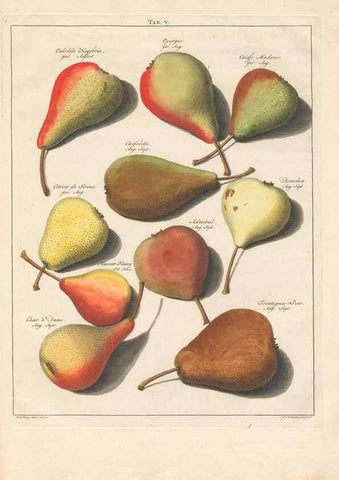 Reproducción/Reproduction 41377728065: Pomologia :. Te Leeuwarden, :By Abraham Ferwerda, ...,1758.. 