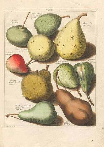 Reproducción/Reproduction 42233079242: Pomologia :. Te Leeuwarden, :By Abraham Ferwerda, ...,1758.. 