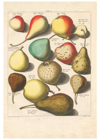 Reproducción/Reproduction 27409144237: Pomologia :. Te Leeuwarden, :By Abraham Ferwerda, ...,1758.. 