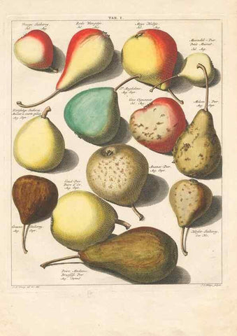 Reproducción/Reproduction 27409144237: Pomologia :. Te Leeuwarden, :By Abraham Ferwerda, ...,1758.. 