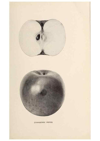 Reproducción/Reproduction 42281131741: The apples of New York /. Albany :J.B. Lyon,1905.. 