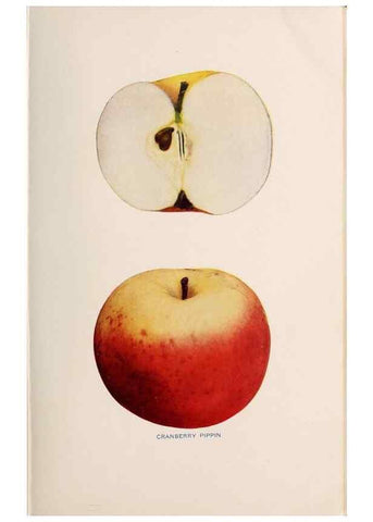 Reproducción/Reproduction 40474381530: The apples of New York /. Albany :J.B. Lyon,1905.. 
