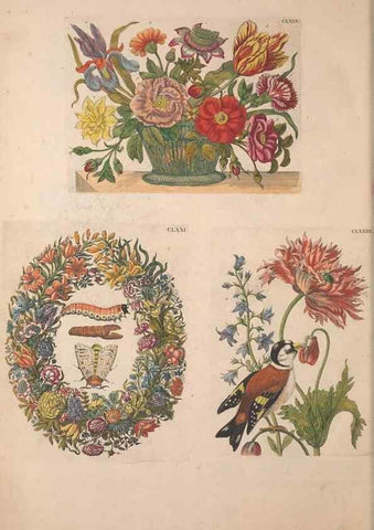 Reproducción/Reproduction 47146776871: De Europischen insecten :. Tot Amsterdam :By J.F. Bernard,1730.. 