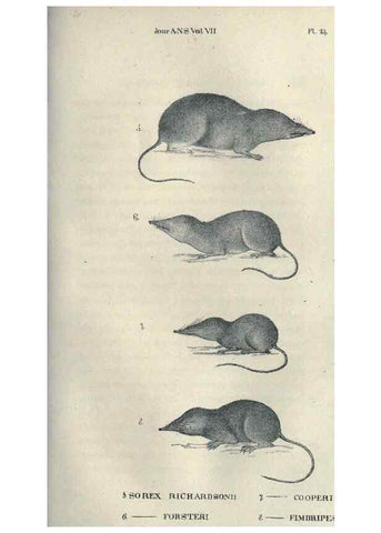 Reproducción/Reproduction 46434663204: Journal of the Academy of Natural Sciences of Philadelphia.. Philadelphia :Academy of Natural Sciences of Philadelphia,1817-1918.. 