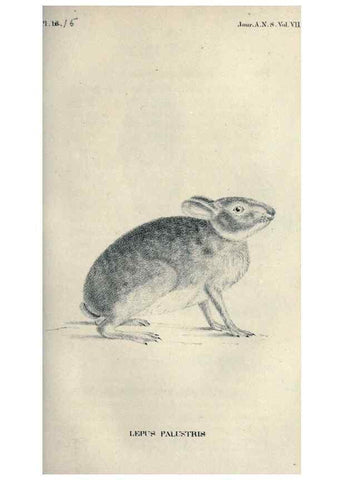 Reproducción/Reproduction 46244131225: Journal of the Academy of Natural Sciences of Philadelphia.. Philadelphia :Academy of Natural Sciences of Philadelphia,1817-1918.. 