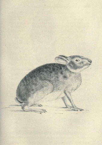 Reproducción/Reproduction 46244131225: Journal of the Academy of Natural Sciences of Philadelphia.. Philadelphia :Academy of Natural Sciences of Philadelphia,1817-1918.. 