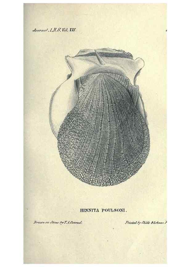 Reproducción/Reproduction 46244130505: Journal of the Academy of Natural Sciences of Philadelphia.. Philadelphia :Academy of Natural Sciences of Philadelphia,1817-1918.. 