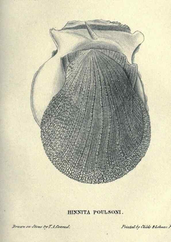 Reproducción/Reproduction 46244130505: Journal of the Academy of Natural Sciences of Philadelphia.. Philadelphia :Academy of Natural Sciences of Philadelphia,1817-1918.. 
