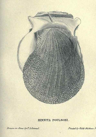 Reproducción/Reproduction 46244130505: Journal of the Academy of Natural Sciences of Philadelphia.. Philadelphia :Academy of Natural Sciences of Philadelphia,1817-1918.. 