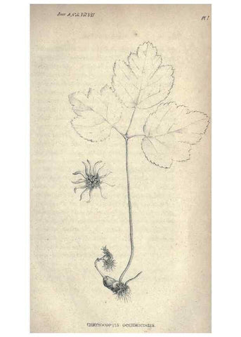 Reproducción/Reproduction 47106106542: Journal of the Academy of Natural Sciences of Philadelphia.. Philadelphia :Academy of Natural Sciences of Philadelphia,1817-1918.. 