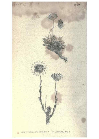 Reproducción/Reproduction 46434653444: Journal of the Academy of Natural Sciences of Philadelphia.. Philadelphia :Academy of Natural Sciences of Philadelphia,1817-1918.. 