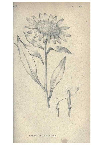 Reproducción/Reproduction 46244123815: Journal of the Academy of Natural Sciences of Philadelphia.. Philadelphia :Academy of Natural Sciences of Philadelphia,1817-1918.. 