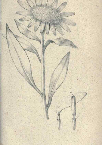 Reproducción/Reproduction 46244123815: Journal of the Academy of Natural Sciences of Philadelphia.. Philadelphia :Academy of Natural Sciences of Philadelphia,1817-1918.. 