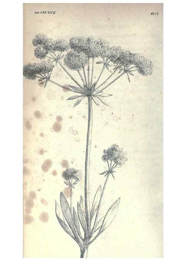 Reproducción/Reproduction 47158127751: Journal of the Academy of Natural Sciences of Philadelphia.. Philadelphia :Academy of Natural Sciences of Philadelphia,1817-1918.. 