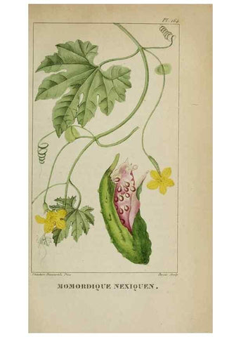 Reproducción/Reproduction 32227973787: Flore pittoresque et médicale des Antilles, ou, Histoire naturelle des plantes usuelles des colonies françaises, anglaises, espagnoles, et portugaises /. Paris :Ches l'Editeur,1833.. 
