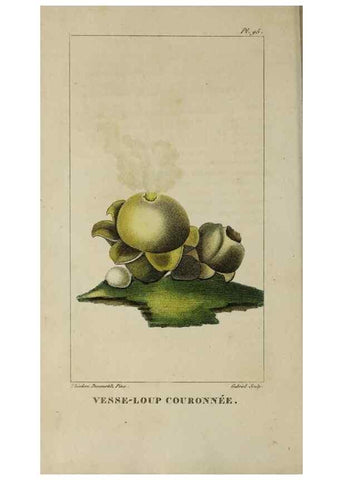 Reproducción/Reproduction 46446199524: Flore pittoresque et médicale des Antilles, ou, Histoire naturelle des plantes usuelles des colonies françaises, anglaises, espagnoles, et portugaises /. Paris :Ches l'Editeur,1833.. 