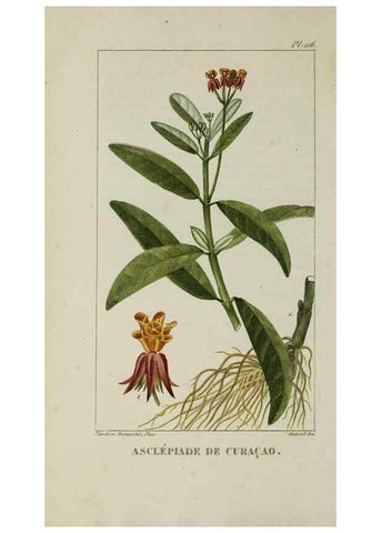 Reproducción/Reproduction 47169721461: Flore pittoresque et médicale des Antilles, ou, Histoire naturelle des plantes usuelles des colonies françaises, anglaises, espagnoles, et portugaises /. Paris :Ches l'Editeur,1833.. 