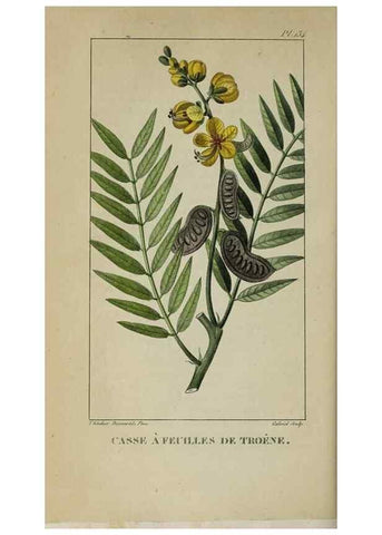 Reproducción/Reproduction 47117775522: Flore pittoresque et médicale des Antilles, ou, Histoire naturelle des plantes usuelles des colonies françaises, anglaises, espagnoles, et portugaises /. Paris :Ches l'Editeur,1833.. 