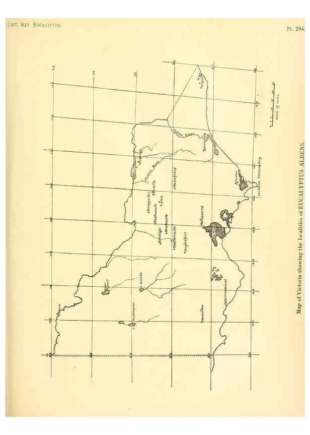Reproducción/Reproduction 46338937314: A critical revision of the genus Eucalyptus,. Sydney,Gullick,1903-33.. 