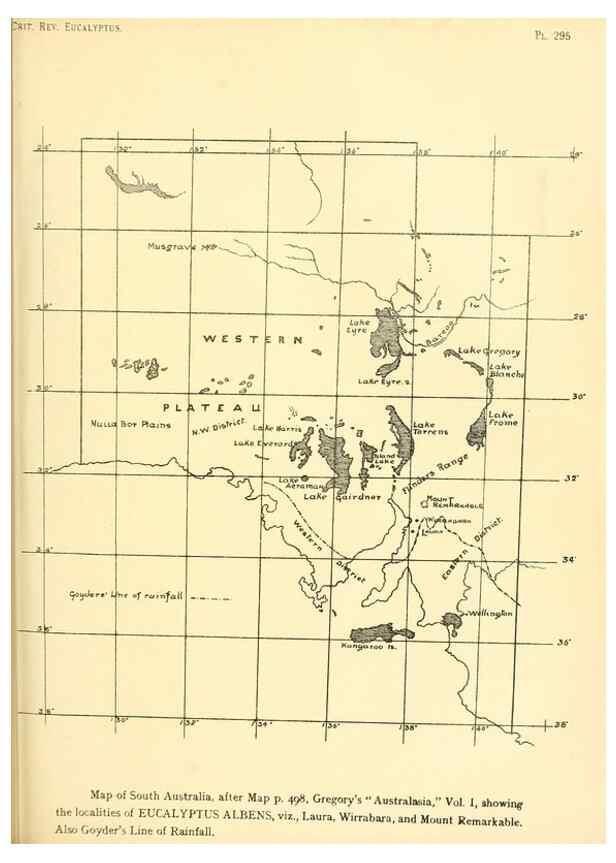 Reproducción/Reproduction 33187664788: A critical revision of the genus Eucalyptus,. Sydney,Gullick,1903-33.. 