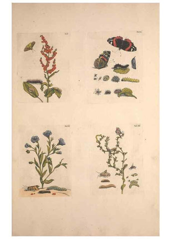 Reproducción/Reproduction 40181671983: De Europischen insecten :. Tot Amsterdam :By J.F. Bernard,1730.. 