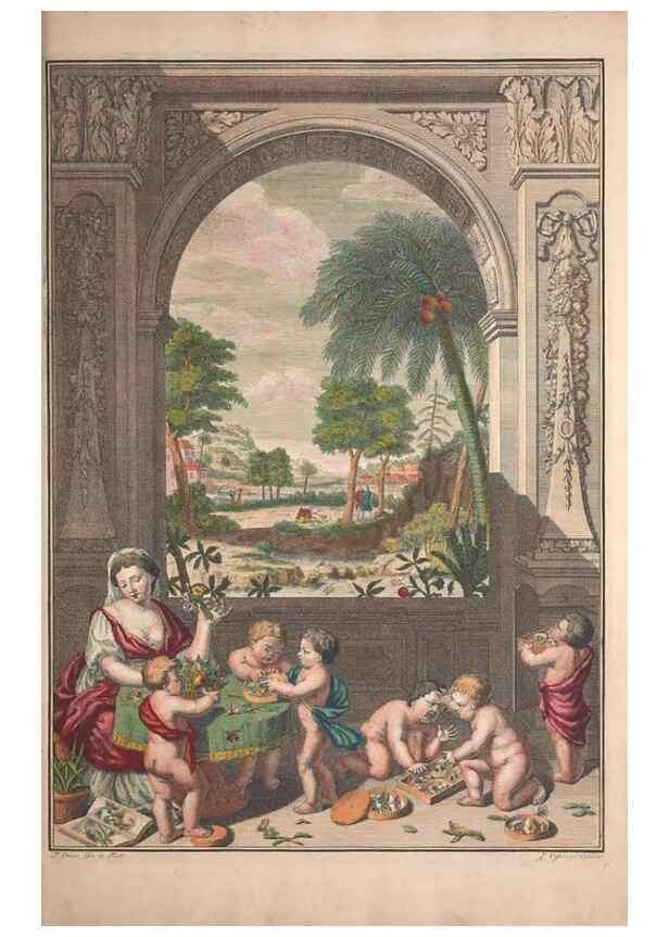 Reproducción/Reproduction 47094226402: Maria Sybilla Meriaen Over de voortteeling en wonderbaerlyke veranderingen der Surinaamsche insecten :. t'Amsterdam :By Jean Frederic Bernard,1730.. 