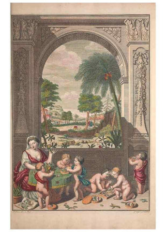 Reproducción/Reproduction 47094226402: Maria Sybilla Meriaen Over de voortteeling en wonderbaerlyke veranderingen der Surinaamsche insecten :. t'Amsterdam :By Jean Frederic Bernard,1730.. 