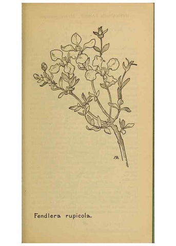 Reproducción/Reproduction 46800838472: Field book of western wild flowers /. New York :Putnam,1915.. 