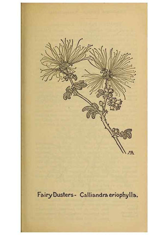 Reproducción/Reproduction 39888005983: Field book of western wild flowers /. New York :Putnam,1915.. 