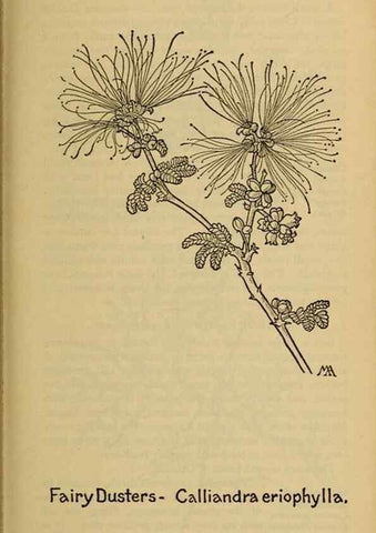 Reproducción/Reproduction 39888005983: Field book of western wild flowers /. New York :Putnam,1915.. 