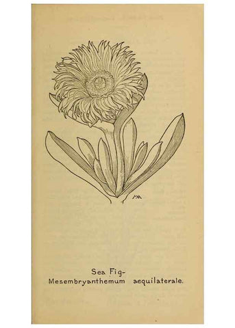 Reproducción/Reproduction 46852812241: Field book of western wild flowers /. New York :Putnam,1915.. 
