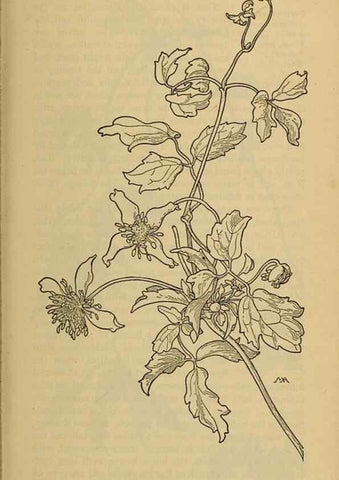 Reproducción/Reproduction 46800788252: Field book of western wild flowers /. New York :Putnam,1915.. 