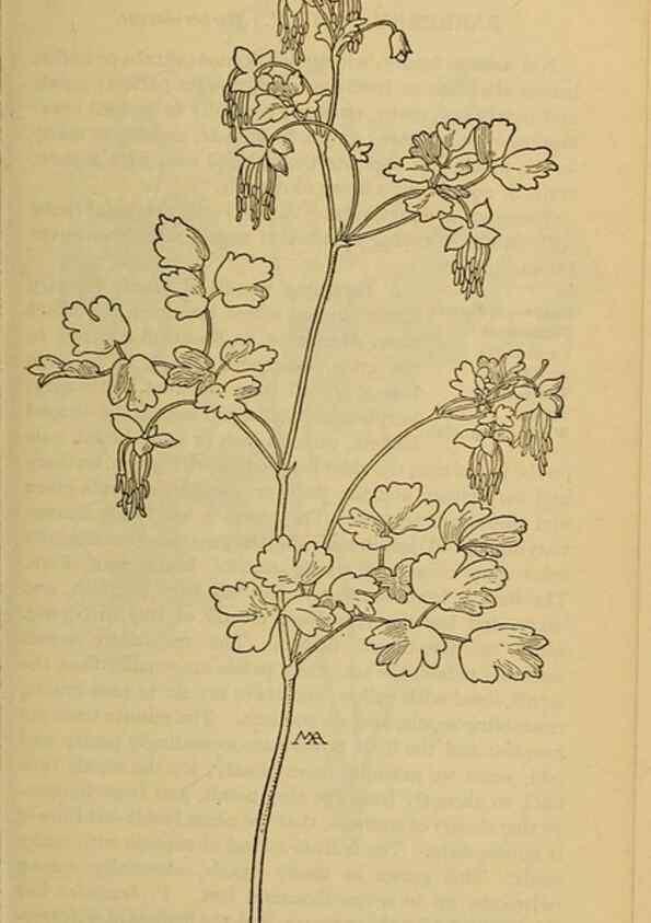 Reproducción/Reproduction 46852847311: Field book of western wild flowers /. New York :Putnam,1915.. 