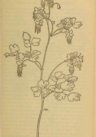 Reproducción/Reproduction 46852847311: Field book of western wild flowers /. New York :Putnam,1915.. 