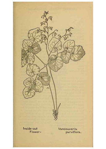 Reproducción/Reproduction 45938223505: Field book of western wild flowers /. New York :Putnam,1915.. 