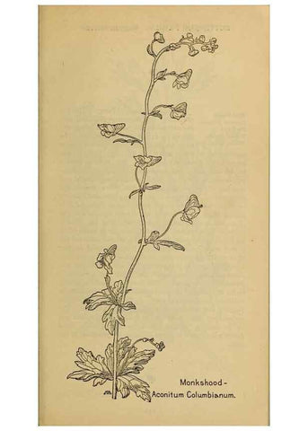 Reproducción/Reproduction 32977444908: Field book of western wild flowers /. New York :Putnam,1915.. 