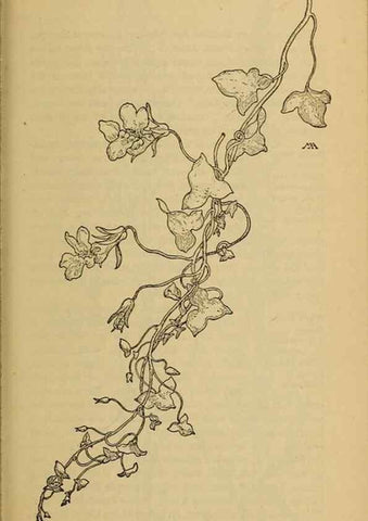 Reproducción/Reproduction 39888303243: Field book of western wild flowers /. New York :Putnam,1915.. 